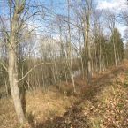 attaching-moosburg2015-002.jpg